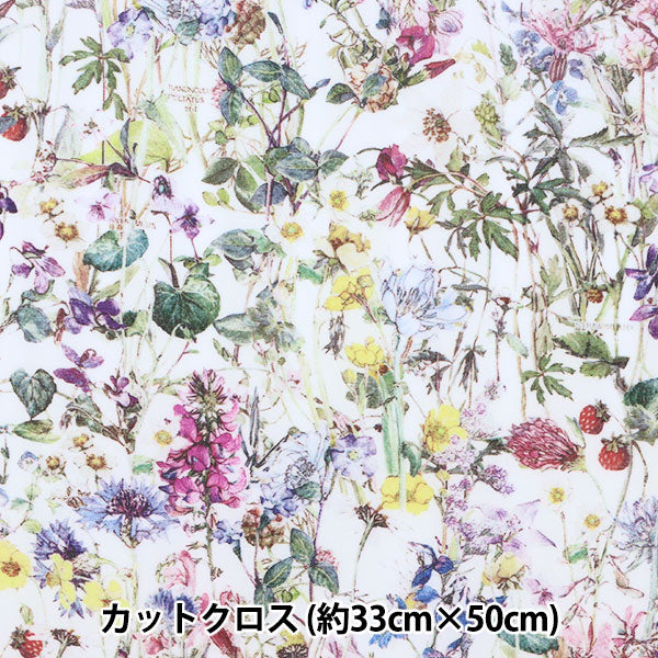 Liberty Liberty Print Linumed Cut Cross Environ 30 x 50 cm Fleurs sauvages CR3634251-AE Liberty Japan