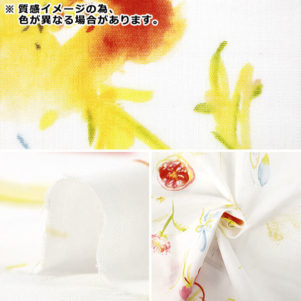 【数量5から】 生地 『ナニイロ オーガニックWガーゼ hana no toki niwa B番色 EGX-11440-1B』 KOKKA コッカ