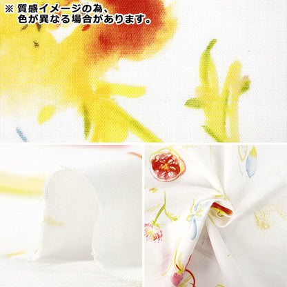 【数量5から】 生地 『ナニイロ オーガニックWガーゼ hana no toki niwa B番色 EGX-11440-1B』 KOKKA コッカ