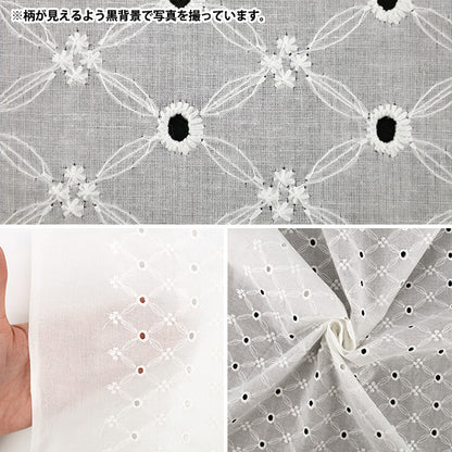 [Quantità da 5] Tessuto "Pizzo di cotone all over bianco sporco RALACF-26G”