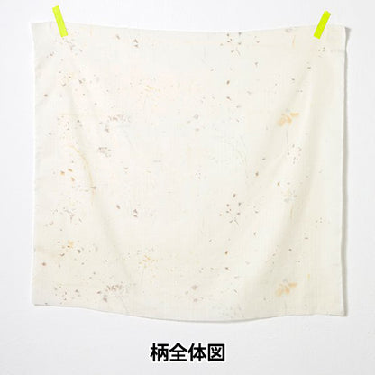 [数量从5开始] 织物 “ Naiiro” 双层纱布 花朵和熊果实EGX-11250-1D" KOKKA