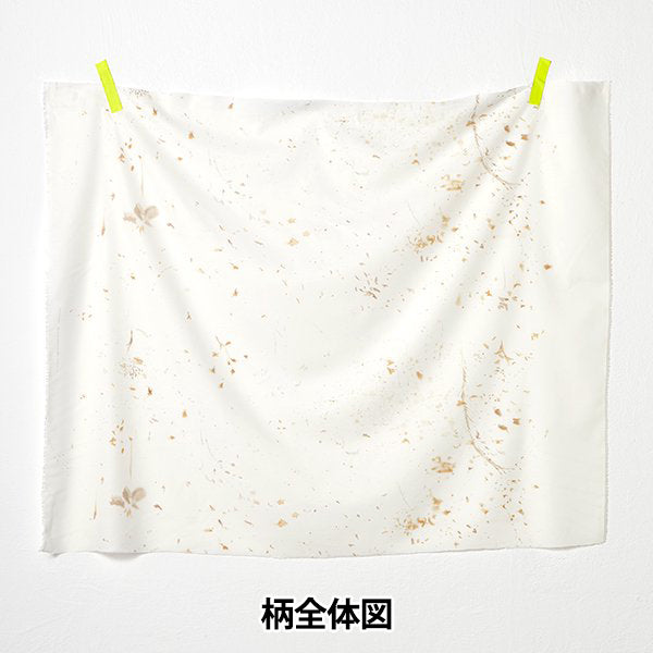 [Cantidad a partir de 5] Tela "Flores de seda de algodón florecen EGX-11260-1E" KOKKA