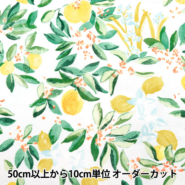 [Quantità a partire da 5] Tessuto "Naniiro Linen (sottile) Margo EGX-11361-1A" KOKKA