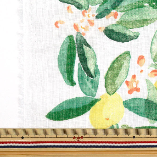 [Quantità a partire da 5] Tessuto "Naniiro Linen (sottile) Margo EGX-11361-1A" KOKKA