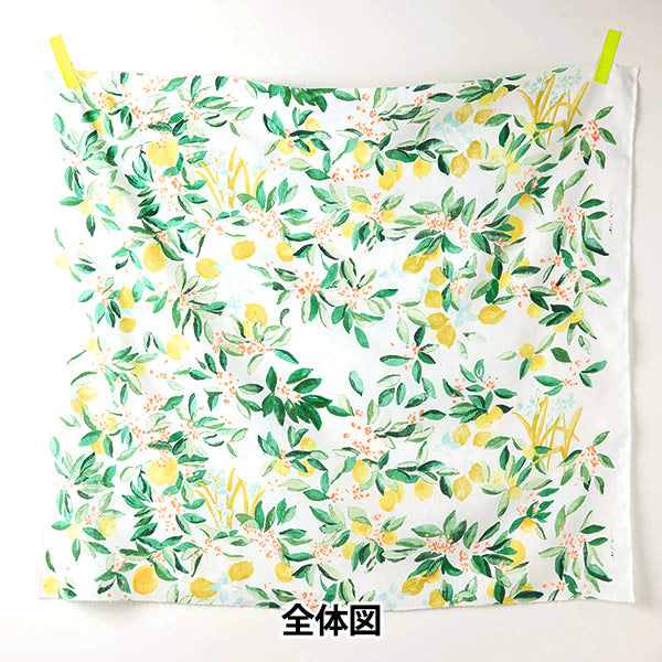 [Quantità a partire da 5] Tessuto "Naniiro Linen (sottile) Margo EGX-11361-1A" KOKKA