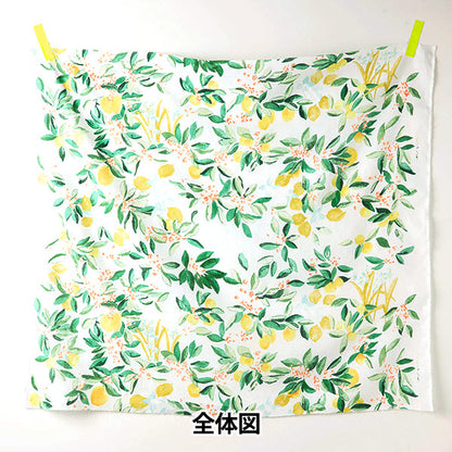 [Quantità a partire da 5] Tessuto "Naniiro Linen (sottile) Margo EGX-11361-1A" KOKKA