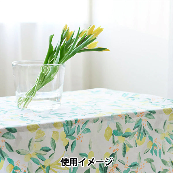 [Quantità a partire da 5] Tessuto "Naniiro Linen (sottile) Margo EGX-11361-1A" KOKKA