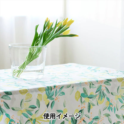 [Quantità a partire da 5] Tessuto "Naniiro Linen (sottile) Margo EGX-11361-1A" KOKKA