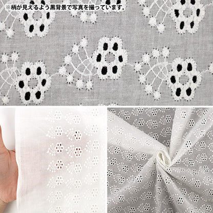 [Quantità da 5] Tessuto "Pizzo di cotone su tutta la superficie bianco sporco RAM-LACE-22"