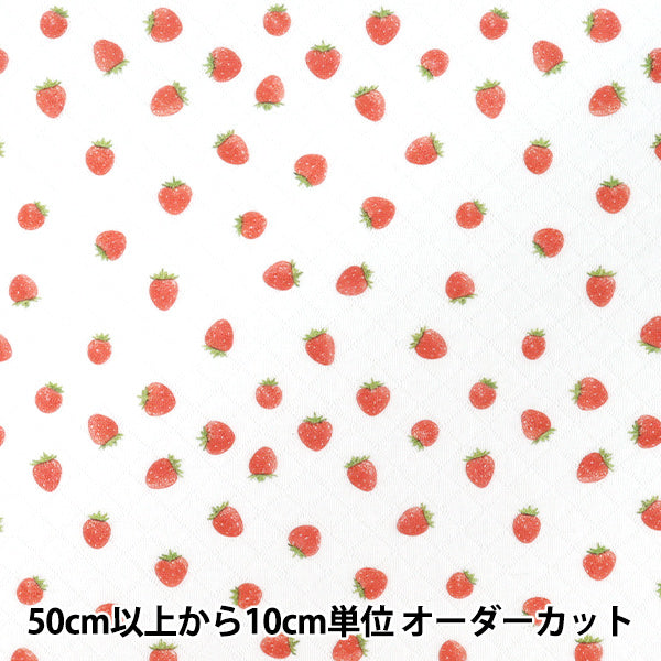 【数量5から】 生地 『ベビーニットキルト いちご 1650-2』