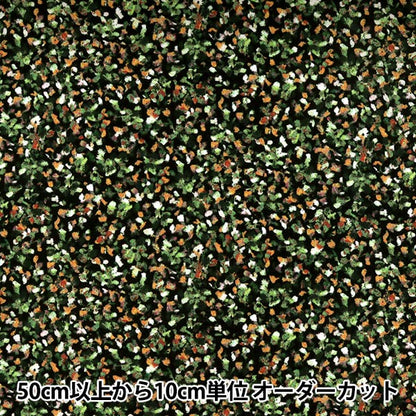 [De la cantidad 5] Tela "Liberty Liberty Print Césped Tana Super Nova 3631127-C" Liberty Japan