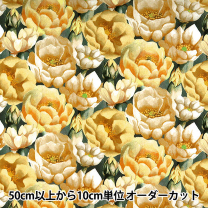 [From quantity 5] Fabric "Liberty Liberty Print Tana lawn Playley 3631128-A" Liberty Japan