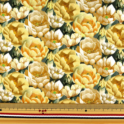 [From quantity 5] Fabric "Liberty Liberty Print Tana lawn Playley 3631128-A" Liberty Japan