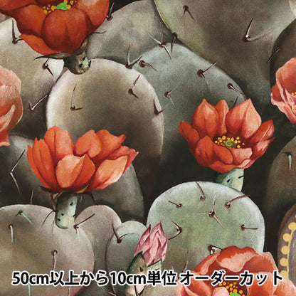 [De la quantité 5] Tissu "Liberty Liberty Print Pelouse Tana Dessert Rose 3631129-A" Liberty Japan