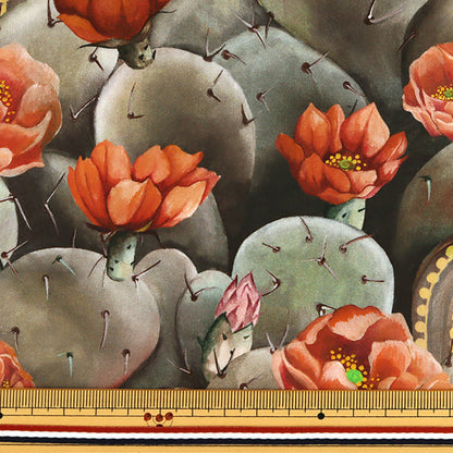 [De la quantité 5] Tissu "Liberty Liberty Print Pelouse Tana Dessert Rose 3631129-A" Liberty Japan