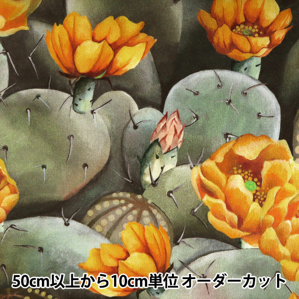 [Из количества 5] Ткань "Liberty Liberty Print Тана газон Десертная роза 3631129-B" Liberty Japan