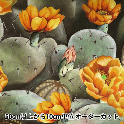 [Из количества 5] Ткань "Liberty Liberty Print Тана газон Десертная роза 3631129-B" Liberty Japan