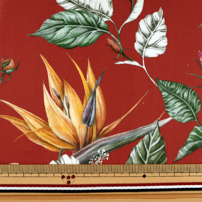 [De la cantidad 5] Tela "Liberty Liberty Print Césped Tana Paradise Bay 3631137-A" Liberty Japan