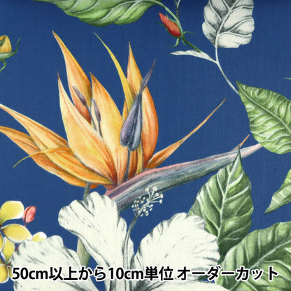 [De la quantité 5] Tissu "Liberty Liberty Print Pelouse Tana Paradise Bay 3631137-B" Liberty Japan