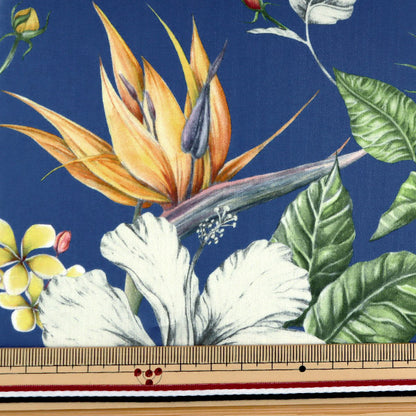 [De la quantité 5] Tissu "Liberty Liberty Print Pelouse Tana Paradise Bay 3631137-B" Liberty Japan