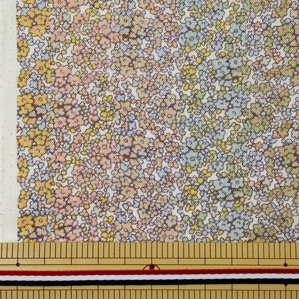 [来自数量5] 织物 "Liberty Liberty Print Flanders亚麻Douglas Stripe 3631184-11a" 日本自由