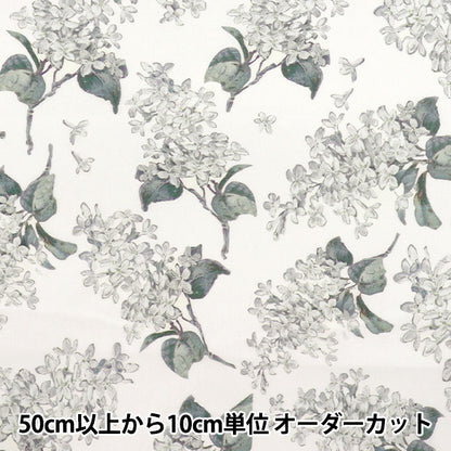 [الكمية تبدأ من 5] الأقمشة "الحرية الأقمشة" عشب التانا أرشيف أرشيف 3635189-re" Liberty Japan