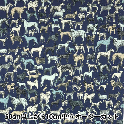 [来自数量5] 织物 "自由自由印刷 塔纳草坪 最佳节目1229111-XE" Liberty Japan