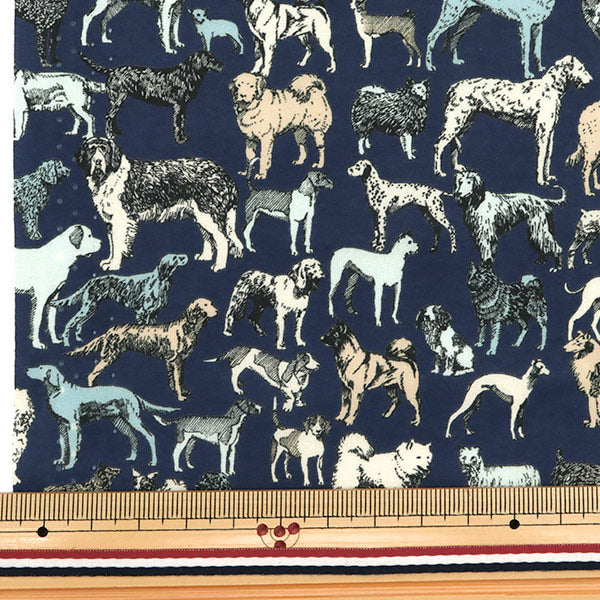 [来自数量5] 织物 "自由自由印刷 塔纳草坪 最佳节目1229111-XE" Liberty Japan