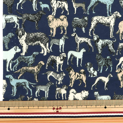 [来自数量5] 织物 "自由自由印刷 塔纳草坪 最佳节目1229111-XE" Liberty Japan