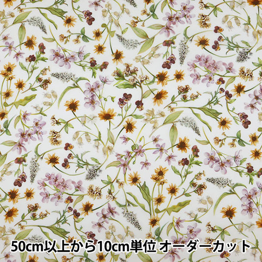 [수량 5에서] 천・원단 "리버티 리버티 프린트 타나론 Plumabella 3639216S67-WE" Liberty Japan