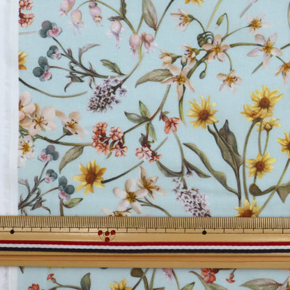 [Dalla quantità 5] Tessuto "Liberty Liberty Print tana de pelouse Plumabella 3639216S67-XE" Liberty Japan