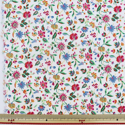 [De la cantidad 5] Tela "Liberty Liberty Print Césped Tana Luna Belle 3631214-A" Liberty Japan