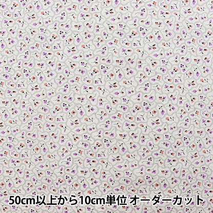 [수량 5에서] 천・원단 "리버티 리버티 프린트 타나론 꽃 포장 DC31448-B" Liberty Japan