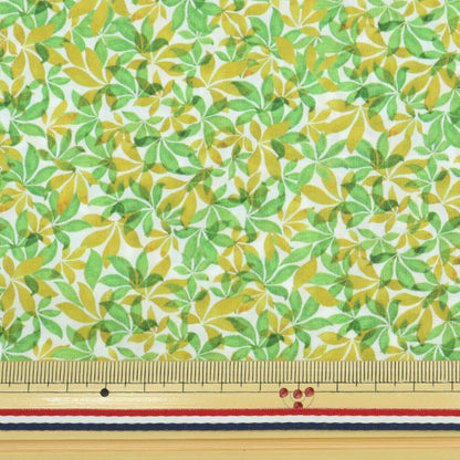 [Dalla quantità 5] Tessuto "Liberty Liberty Print tana de pelouse IN SALIVES DC31450-B" Liberty Japan