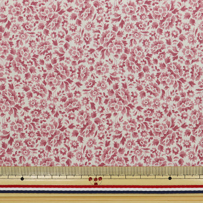 [Dalla quantità 5] Tessuto "Liberty Liberty Print tana de pelouse Caldamon DC31458-B" Liberty Japan