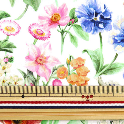 [來自數量5] 織物 "自由自由印刷 塔納草坪 童話尾巴3632116-22bt" Liberty Japan