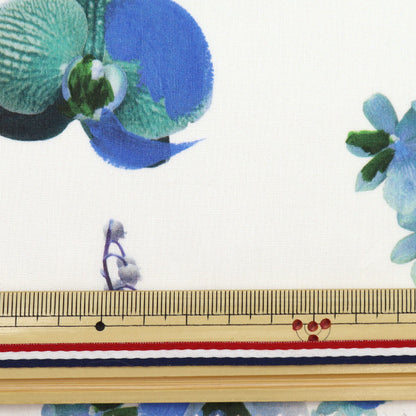 [來自數量5] 織物 "自由自由印刷 塔納草坪 蘭花節3632131-22bt" 日本自由