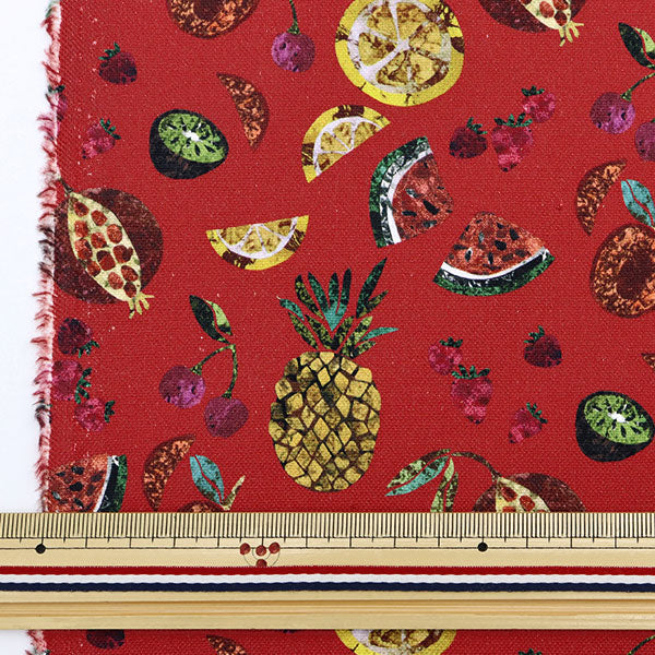 [الكمية من 5] الأقمشة "ليبرتي ليبرتي طباعة رقم 11 قماش بيترا دورا 3631215-J22E" اليابان الحرية