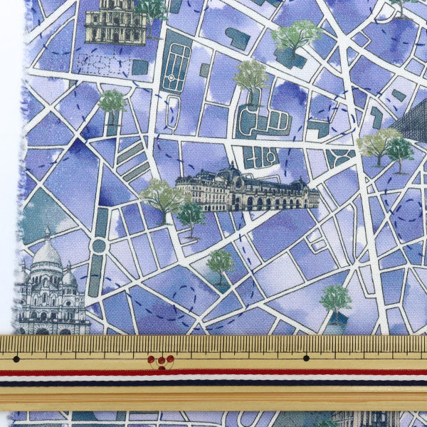 [De la cantidad 5] Tela "Liberty Liberty Print No. 11 Canvas Lou de Paris DC30641-J22d" Libertad Japón