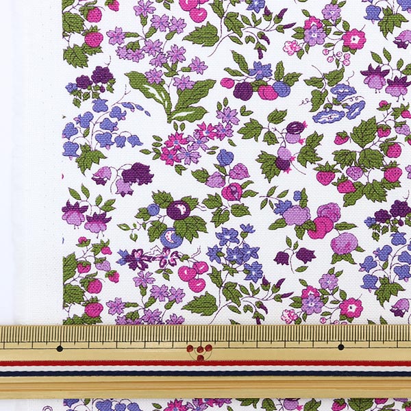 [来自数量5] 织物 "Liberty Liberty Print No. 11 Canvas Nancy Ann 3286253-B" 日本自由