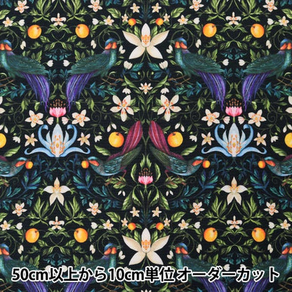 [De la cantidad 5] Tela "Liberty Liberty Print Nylons RunTafetán Fourvidun Fruit 36302100-20a" Libertad Japón