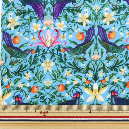 [De la cantidad 5] Tela "Liberty Liberty Print Nylons RunTafetán Fourvidun Fruit 36302100-SD20C" Libertad Japón