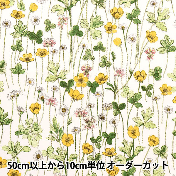 × [de la cantidad 5] Tela "Liberty Liberty Print Césped Tana Josephins Garden 3633181-Ae" Libertad Japón