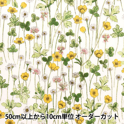 × [de la cantidad 5] Tela "Liberty Liberty Print Césped Tana Josephins Garden 3633181-Ae" Libertad Japón