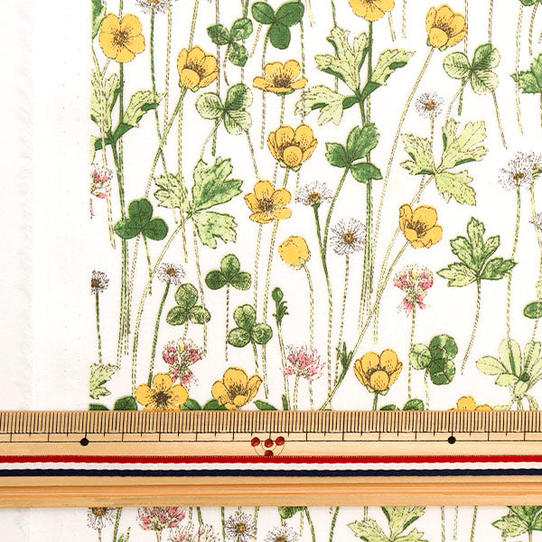 × [de la cantidad 5] Tela "Liberty Liberty Print Césped Tana Josephins Garden 3633181-Ae" Libertad Japón