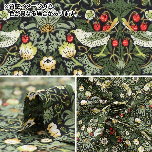 [Quantity starting from 5] Fabric "Liberty Fabrics" Tana lawn Strawberry Thief 3635061-ZE" Liberty Japan