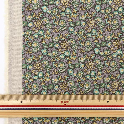 [Dalla quantità 5] Tessuto "Liberty Liberty Print Airicotto Abasan 793335826-J22E" Liberty Japan