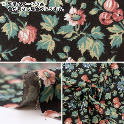 [Dalla quantità 5] Tessuto "Liberty Liberty Print Aili Cot Babet 813521263-J22B" Liberty Japan