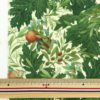 [Из количества 5] Ткань "Liberty Liberty Print Тана газон AISOS 363J6818-B" Liberty Japan