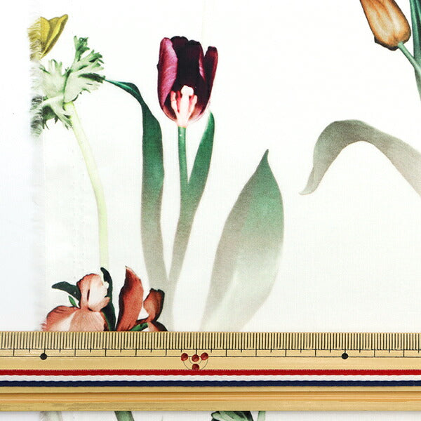 [De la cantidad 5] Tela "Liberty Liberty Print Césped Tana Healing Floral 3633105-23at" Libertad Japón